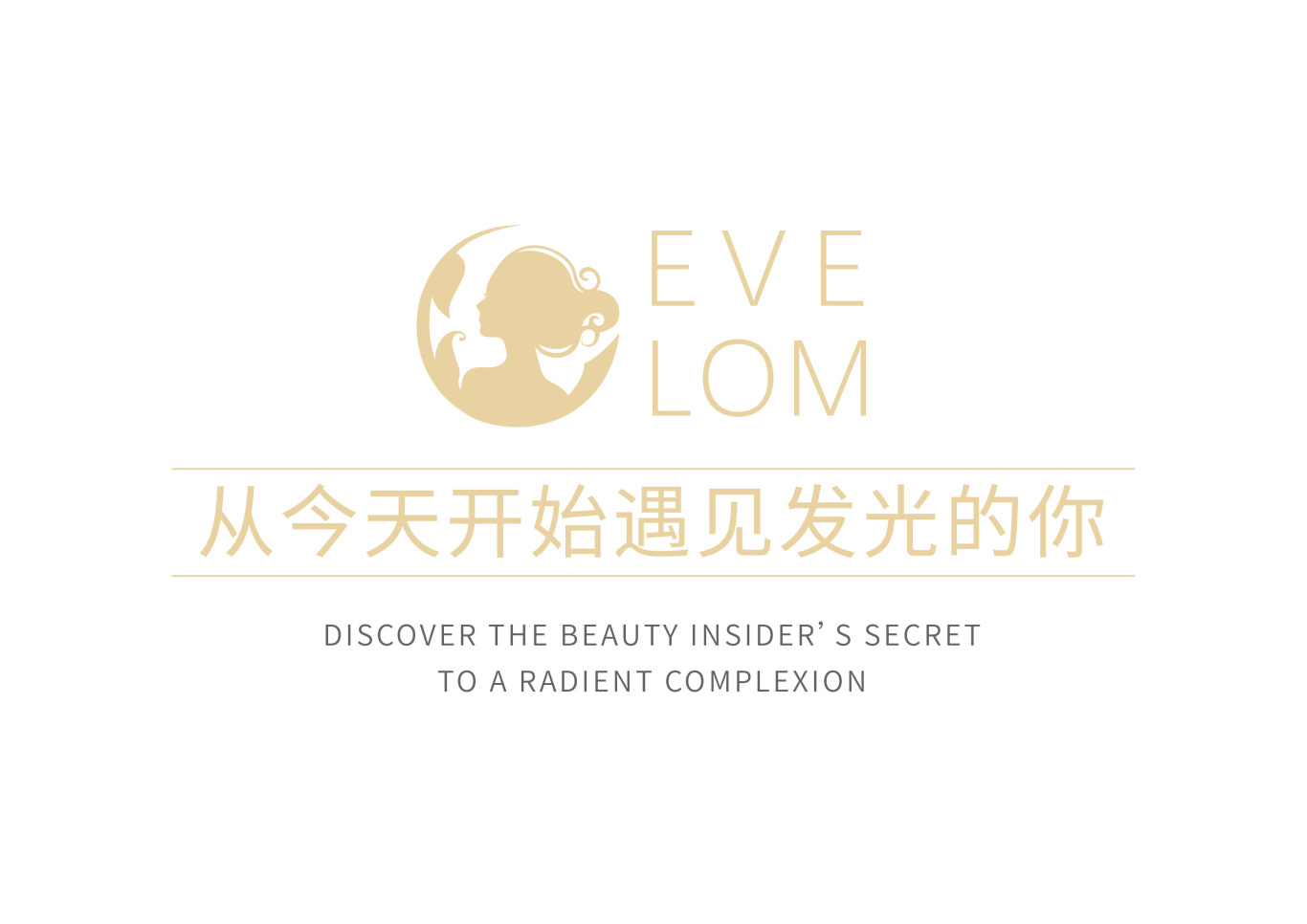 EVE　LOM品牌VI手册图1