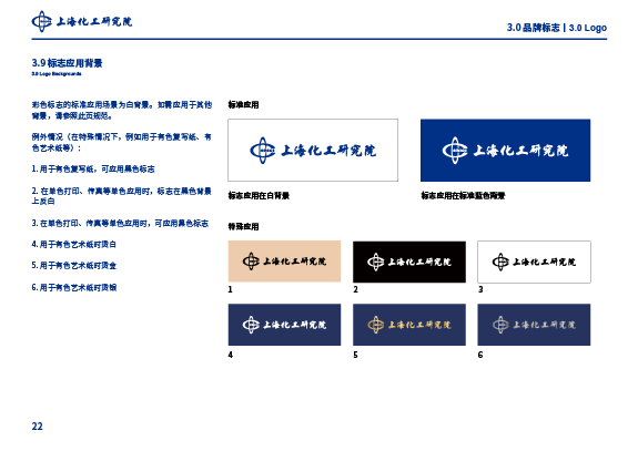 上海化工研究院VI手册设计图9