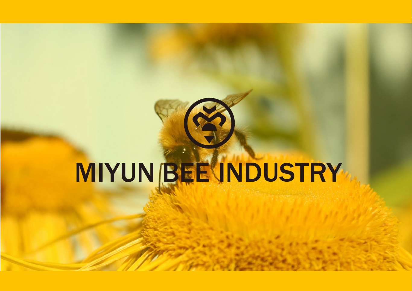 北京密云蜂业logo设计图0