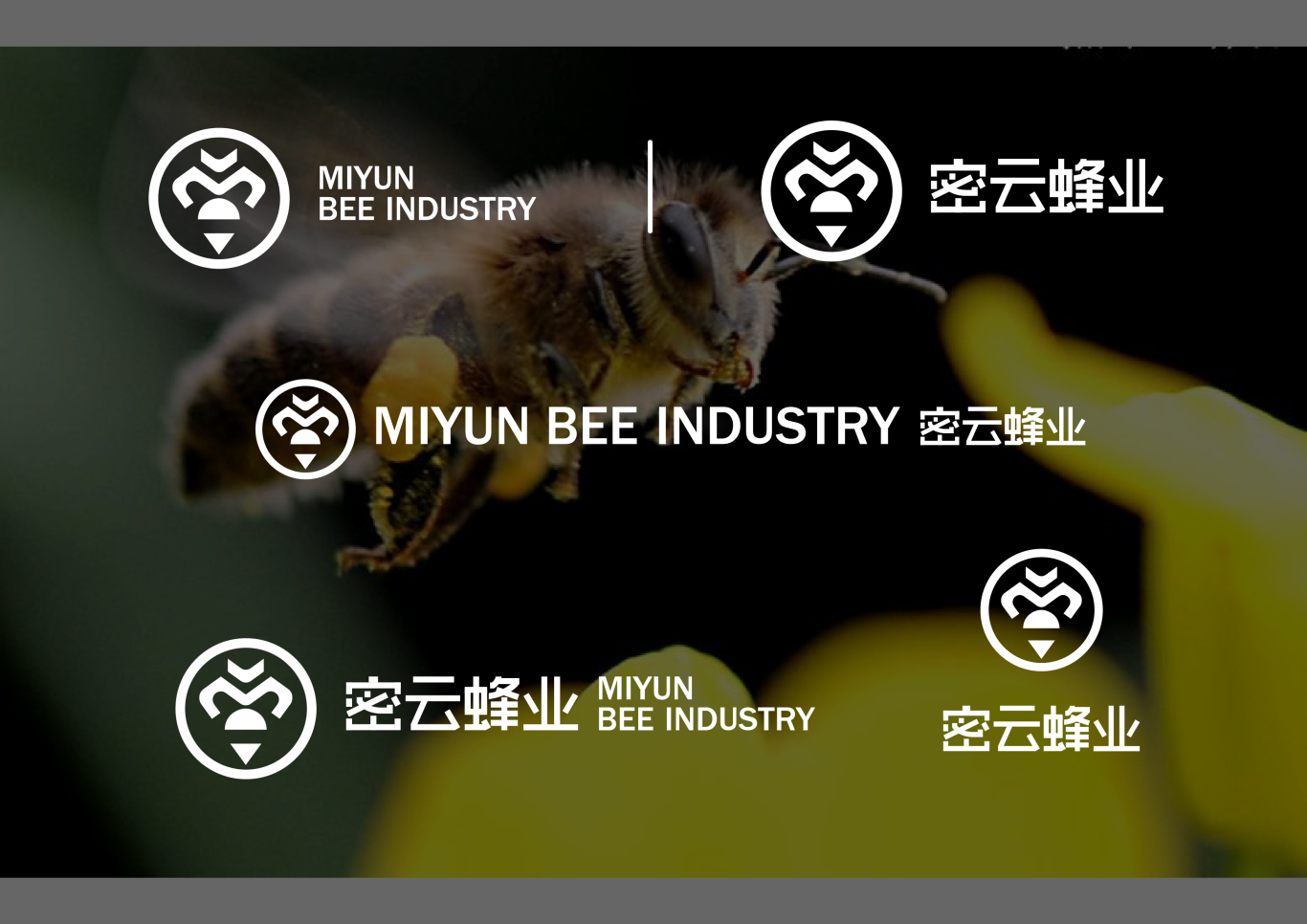 北京密云蜂业logo设计图1