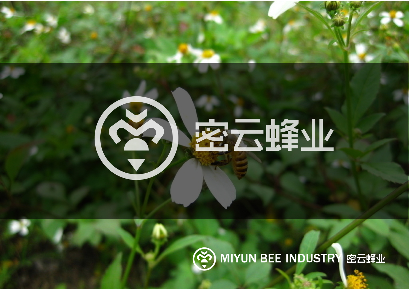 北京密云蜂业logo设计图2