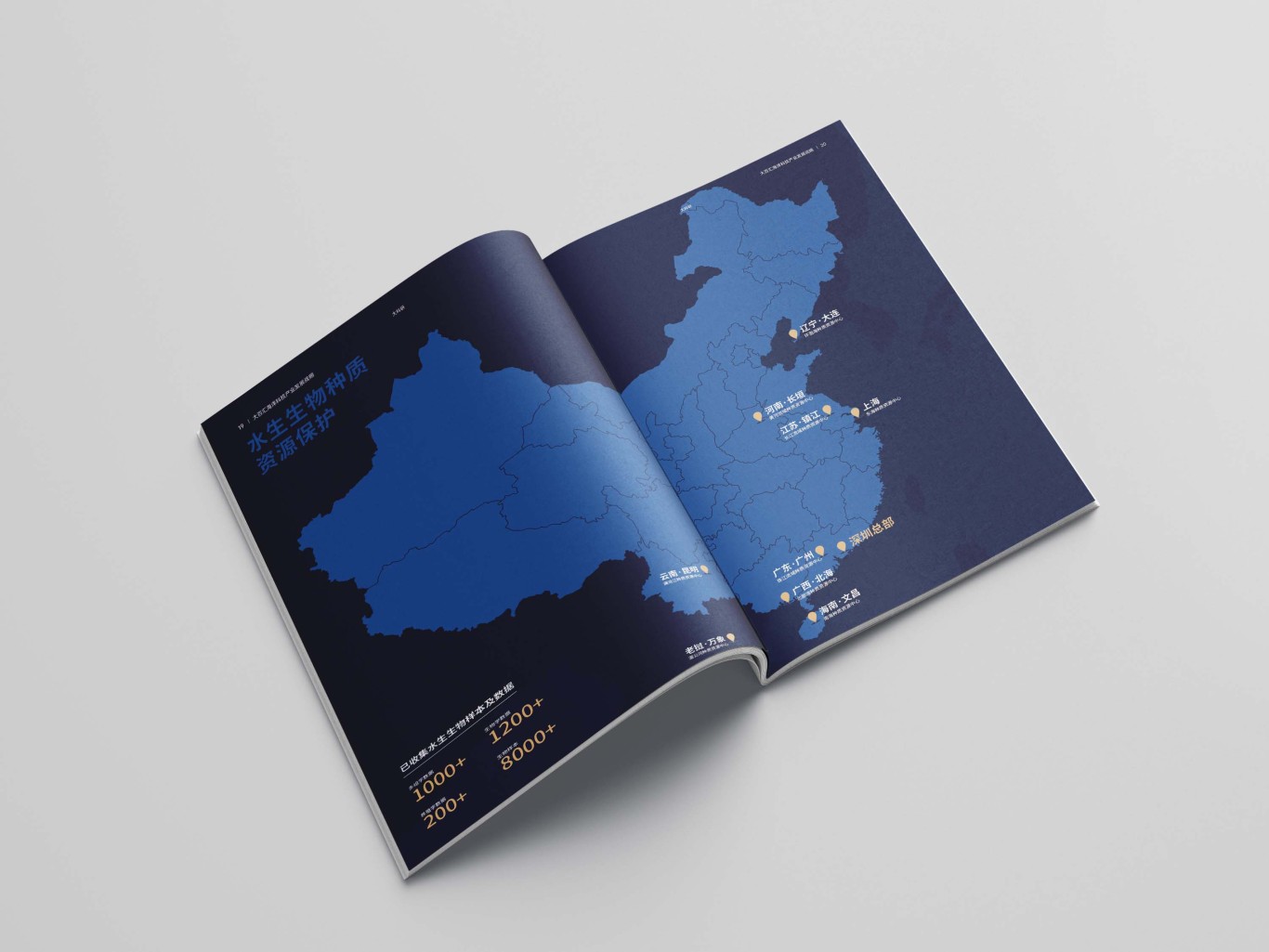 華大海洋-大海洋戰略畫冊圖3