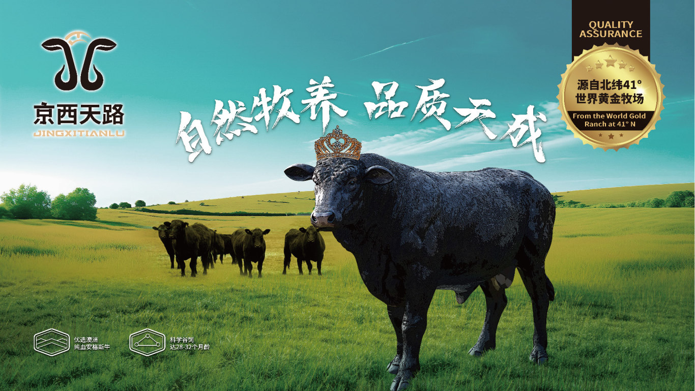 京西農牧生鮮牛肉品牌包裝整體設計圖6