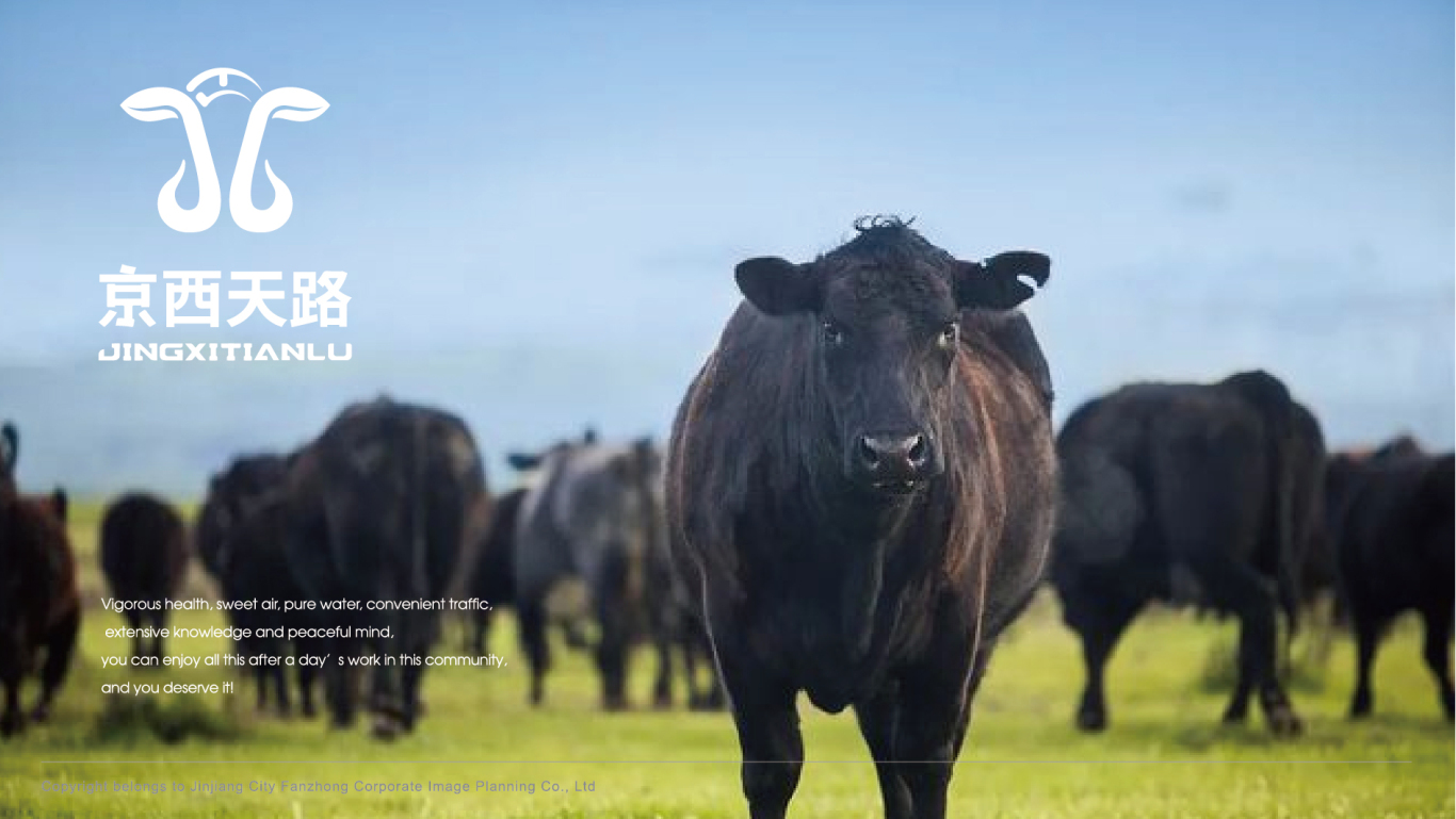 京西農牧生鮮牛肉品牌包裝整體設計圖5