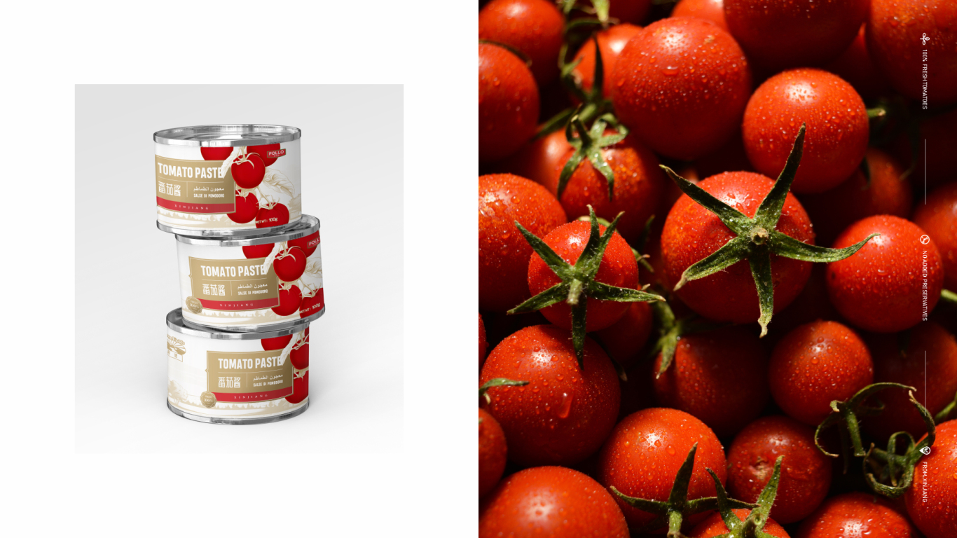菲德番茄酱·食品包装设计图5