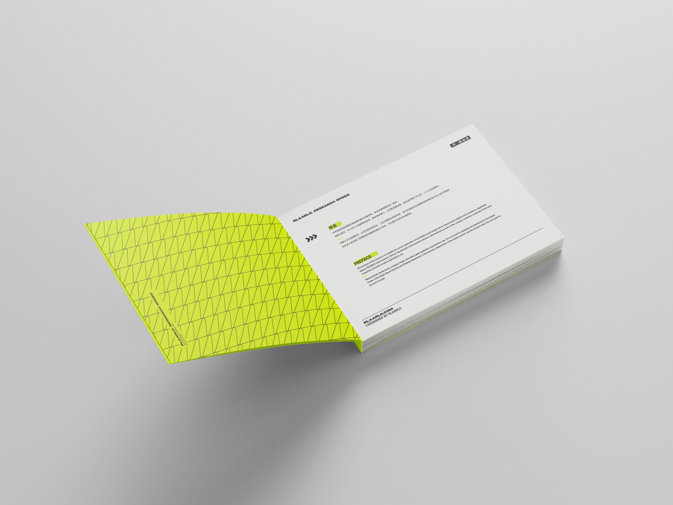 rlaarlo品牌VIS视觉形象识别系统手册设计图2