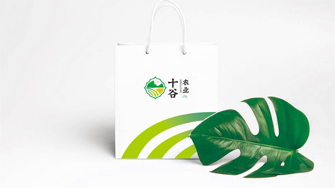 logo设计/十谷农业图5