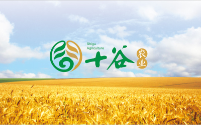 logo设计/十谷农业