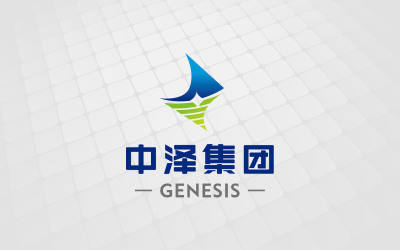 中泽医疗运营集团logo