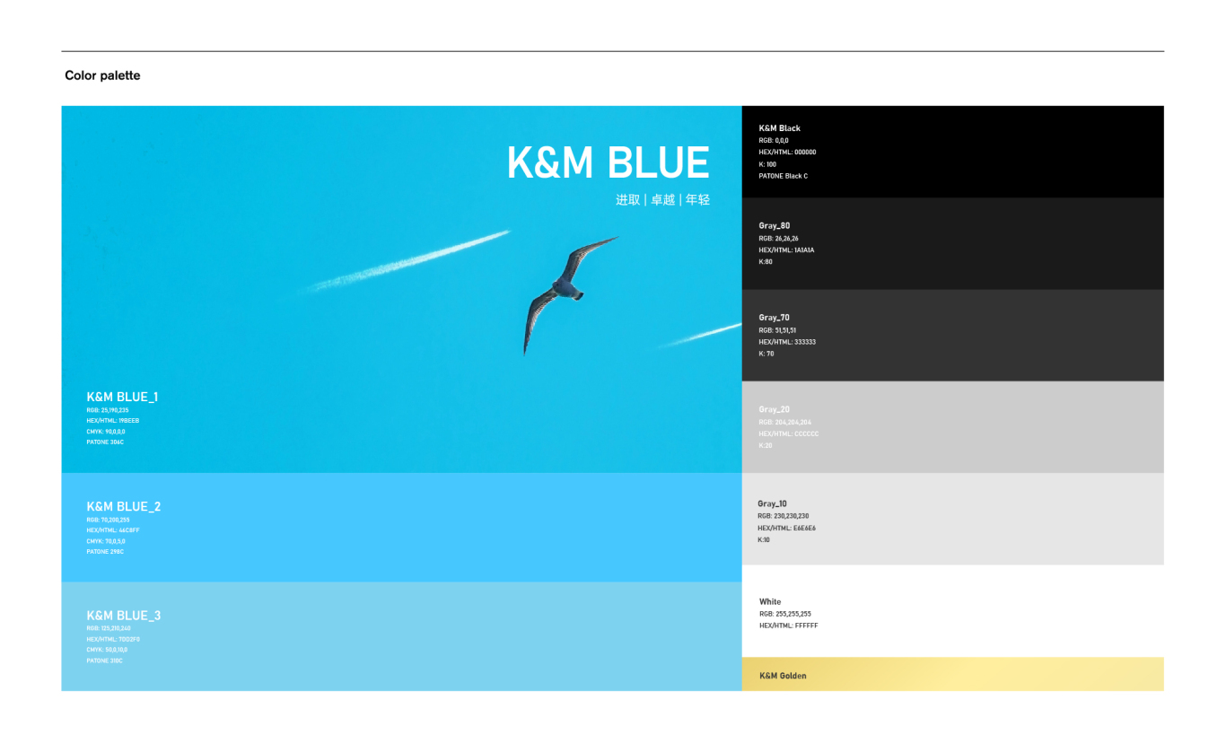 BD12 | 金明国际K&M企业品牌形象升级图3