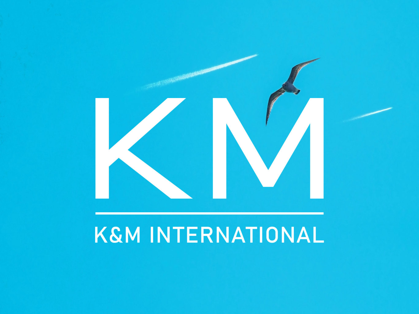 BD12 | 金明国际K&M企业品牌形象升级图10