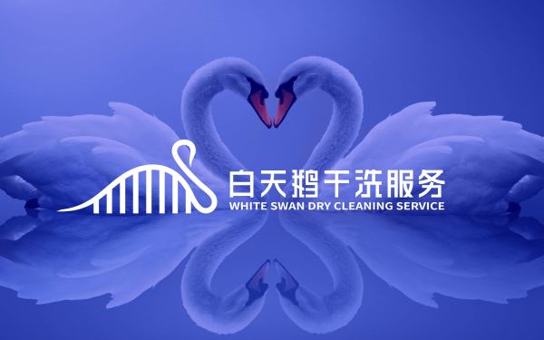 白天鹅干洗服务logo设计
