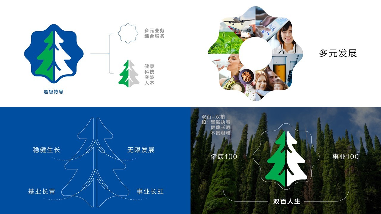 广州市特灵光文化创意有限公司（品牌咨询与设计案例）图13
