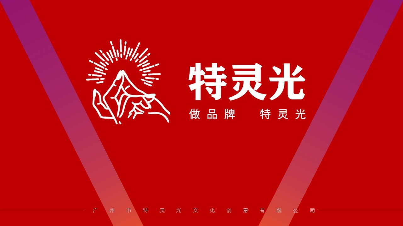 广州市特灵光文化创意有限公司（品牌咨询与设计案例）图0