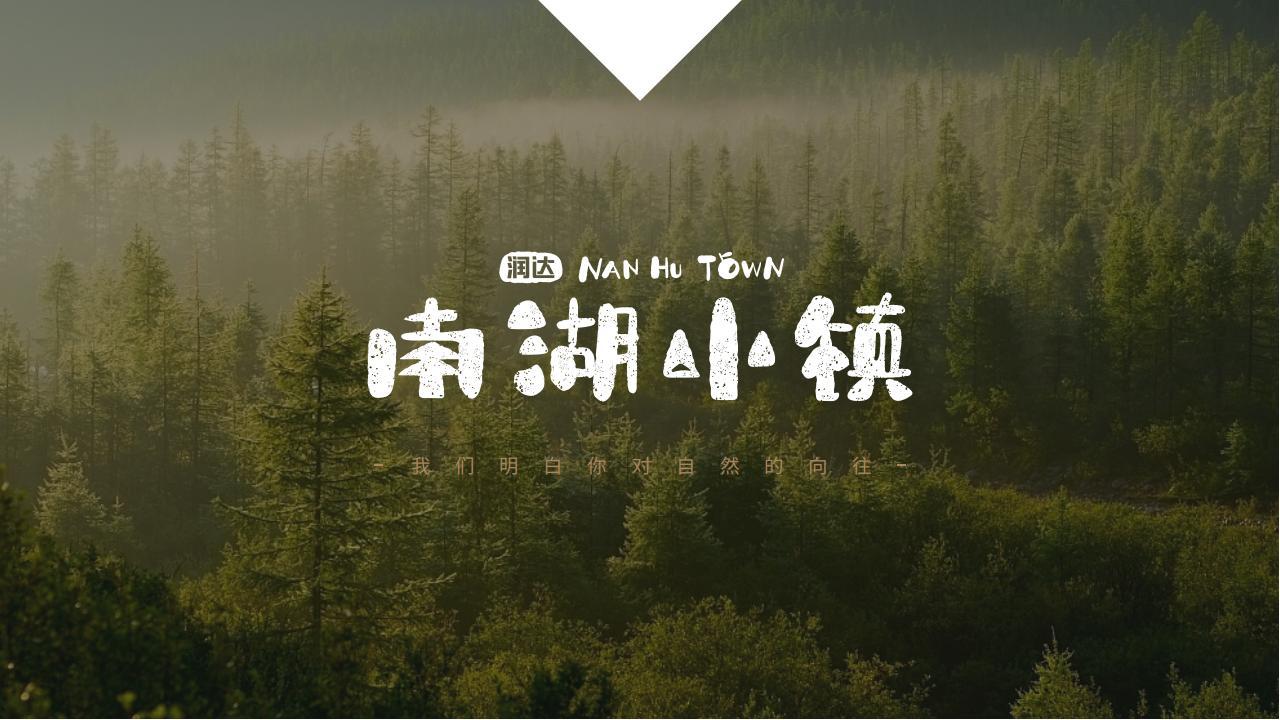 地产文旅项目LOGO图6