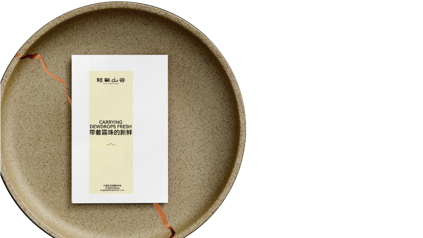 “轻氧山谷”轻食餐品牌设计图37