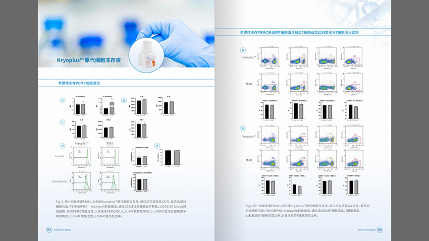 画册设计中标图2