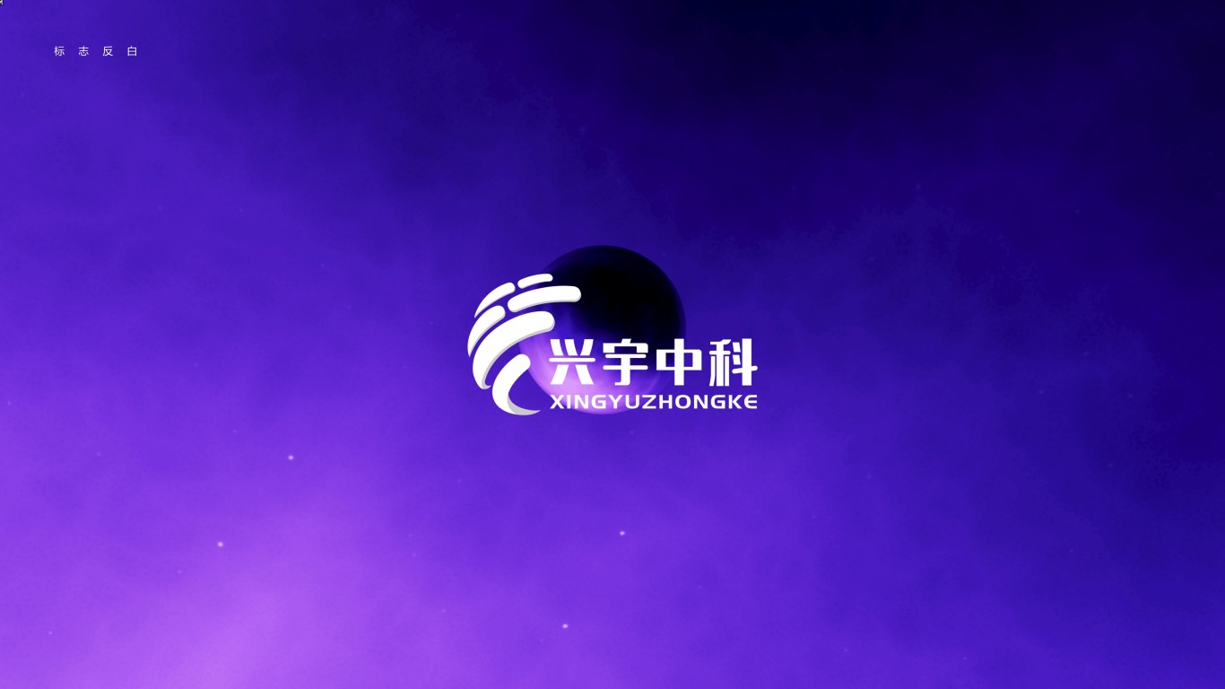 兴宇中科Logo设计图11