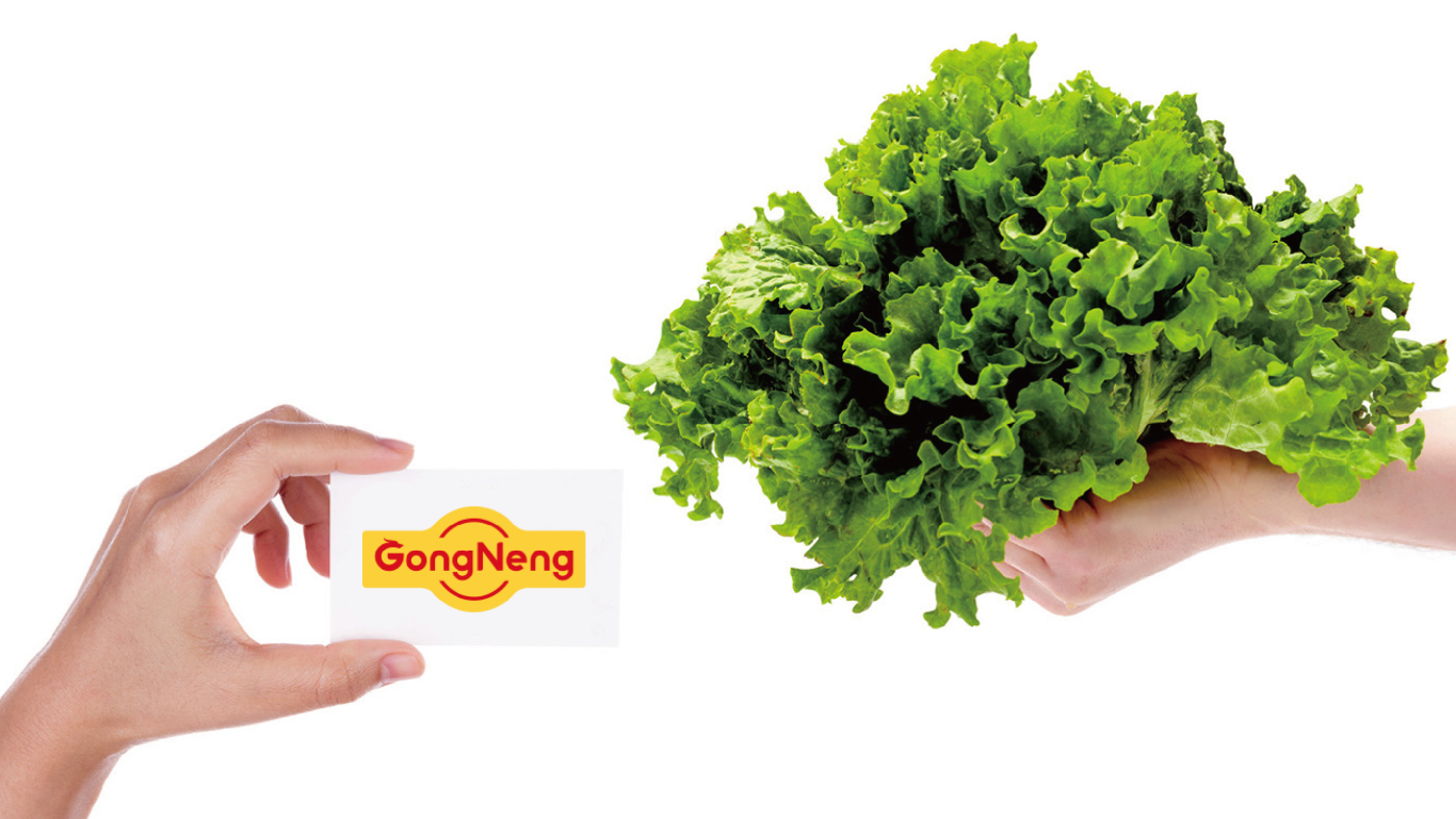 GongNeng農產品品牌LOGO設計｜食品｜農業LOGO VI設計圖14