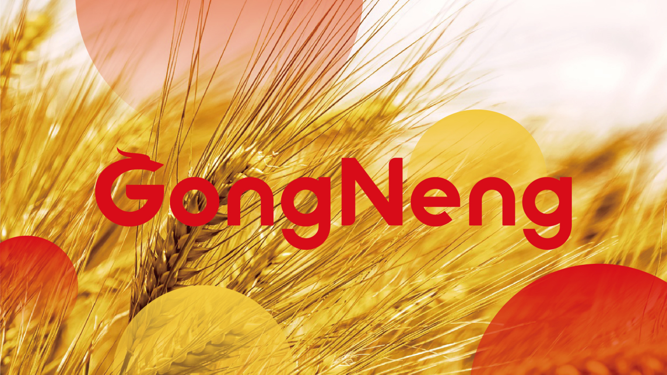 GongNeng農產品品牌LOGO設計｜食品｜農業LOGO VI設計圖17