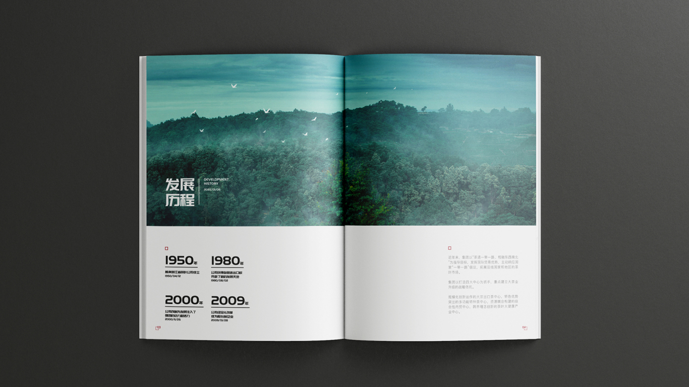 玖道红｜企业宣传画册策划设计图8