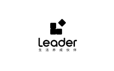 Leader品牌TVC