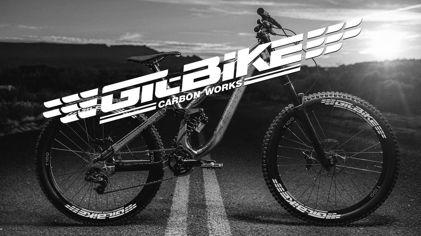 GTL-BIKE自行车logo设计图8