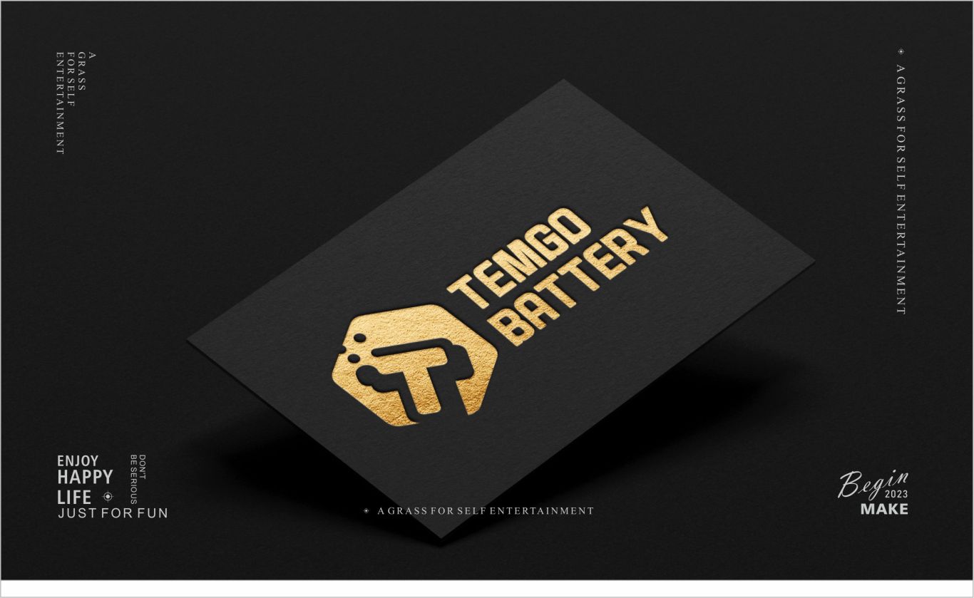 TEMGO BATTERY电动工具品牌LOGO图5