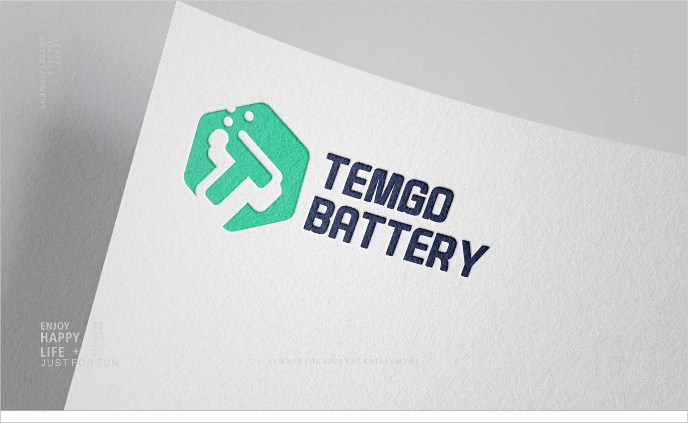 TEMGO BATTERY电动工具品牌LOGO图4