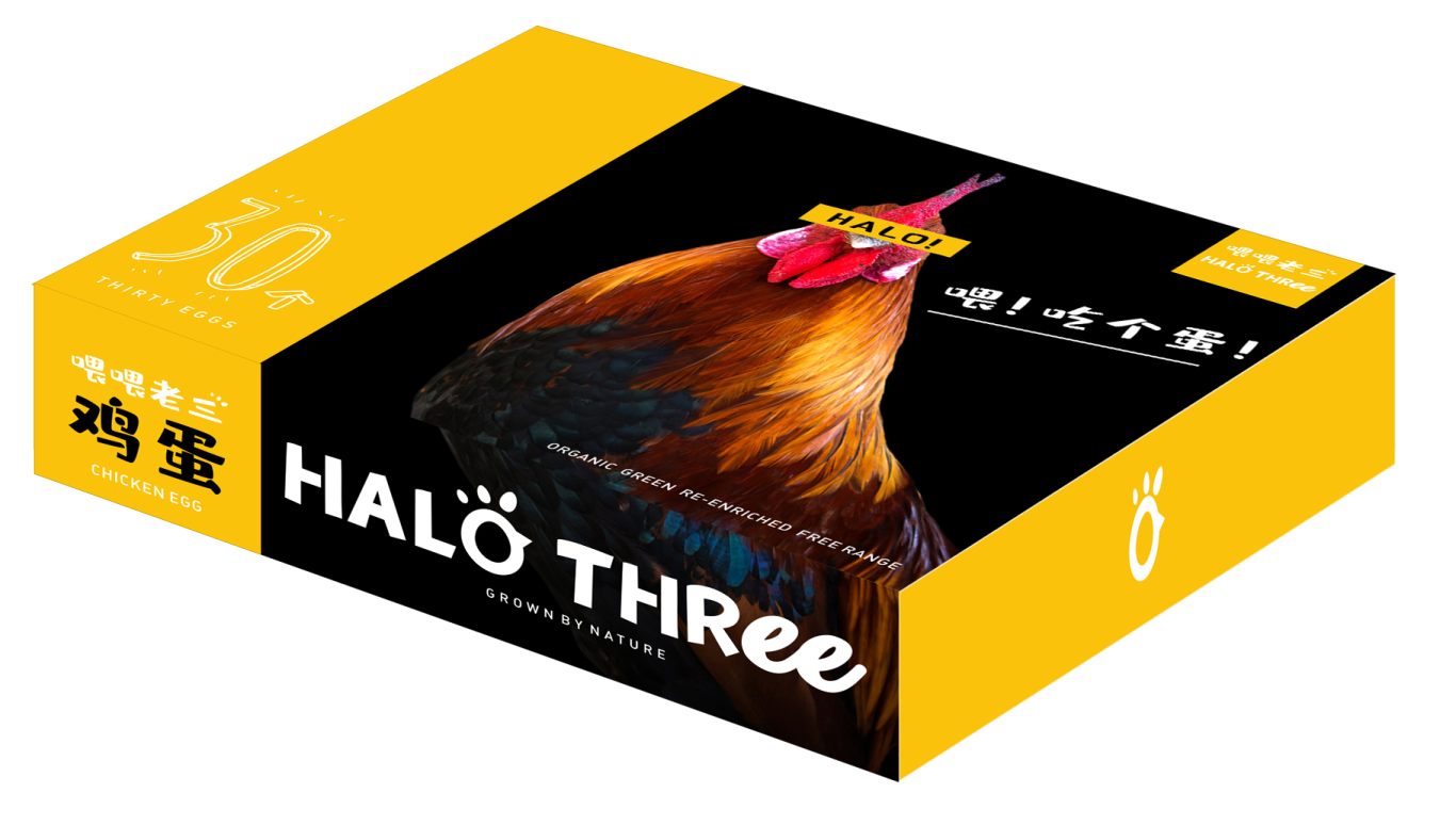 Halo Three 包裝设计图1