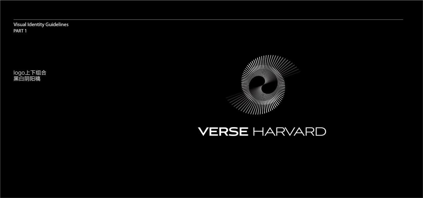 加拿大虚拟币品牌VERSE HARVARRD logo及vi设计图6