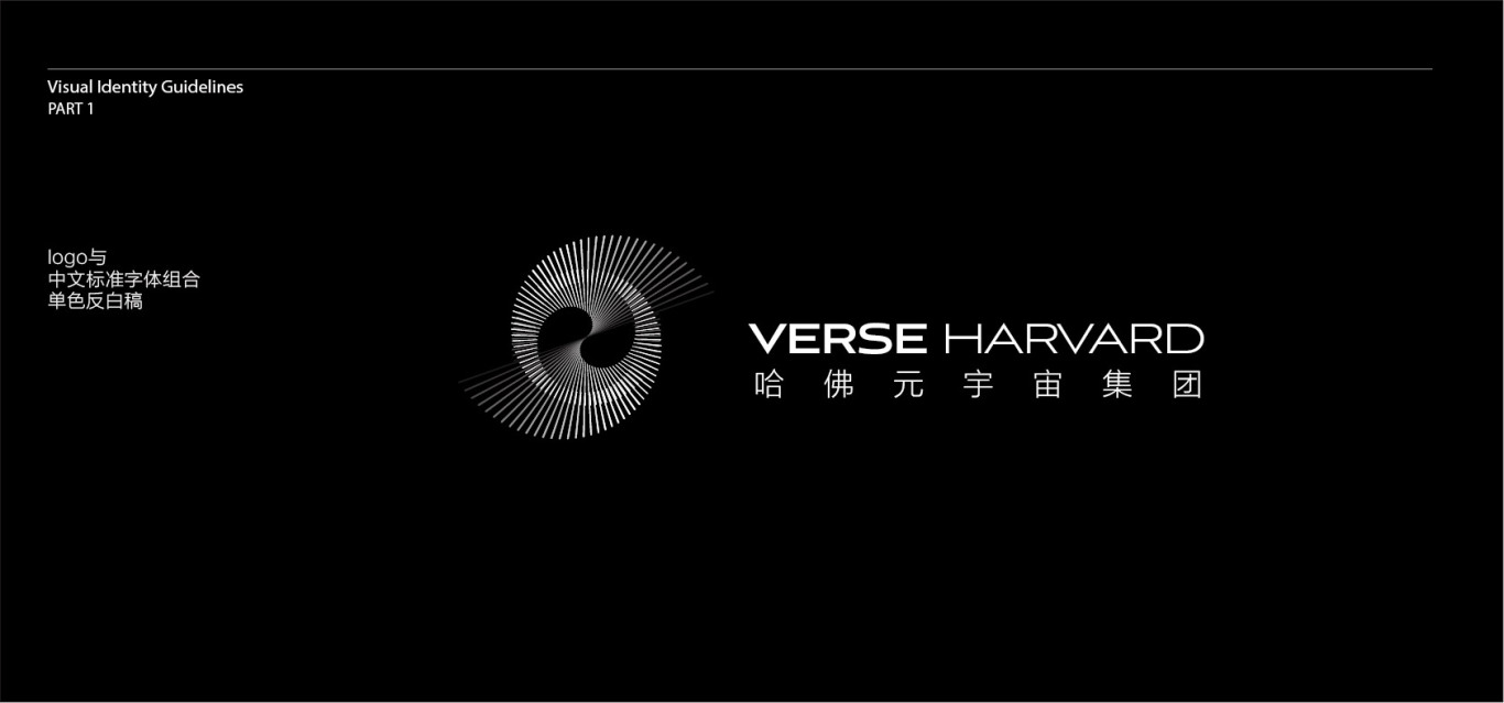 加拿大虚拟币品牌VERSE HARVARRD logo及vi设计图12