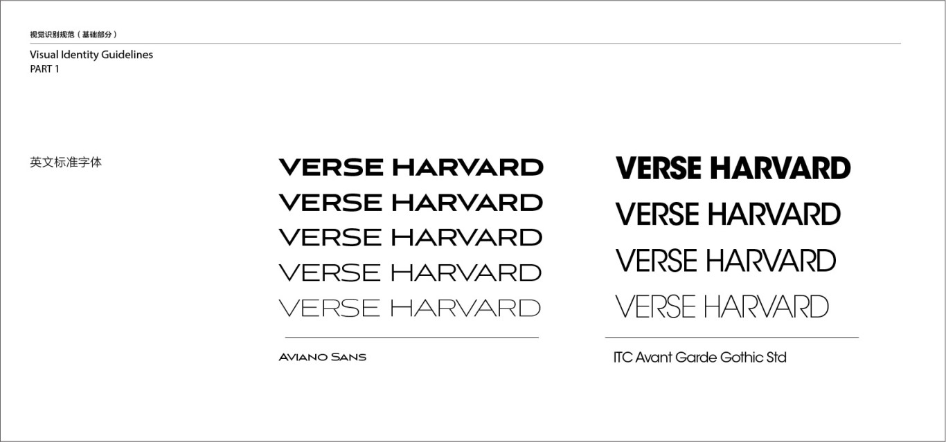 加拿大虚拟币品牌VERSE HARVARRD logo及vi设计图9