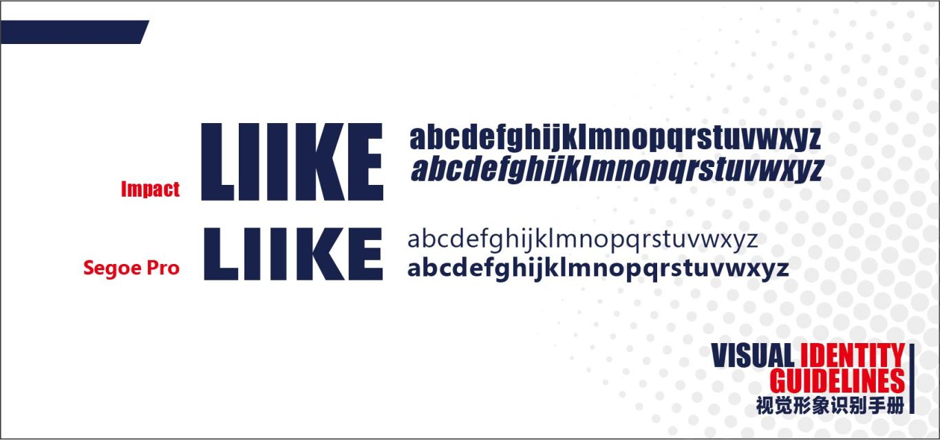 汽车周边用品品牌LIIKE logo与vi设计图11