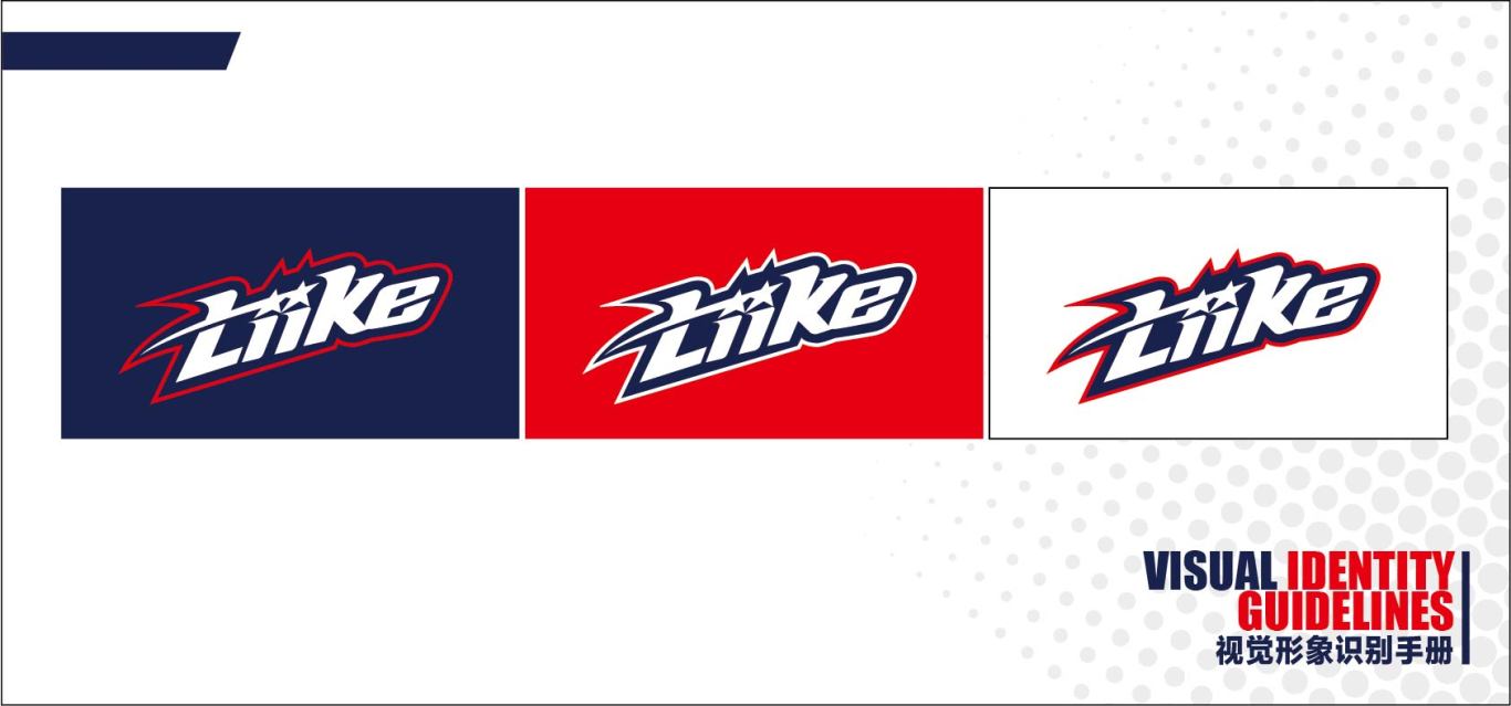 汽车周边用品品牌LIIKE logo与vi设计图8