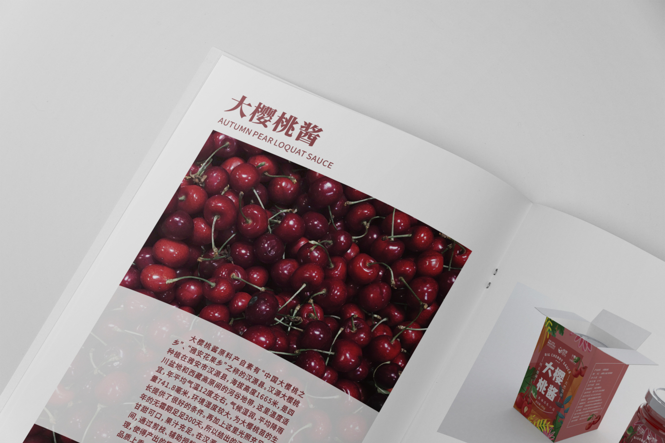 這個設計画册丨晟丰农业图8