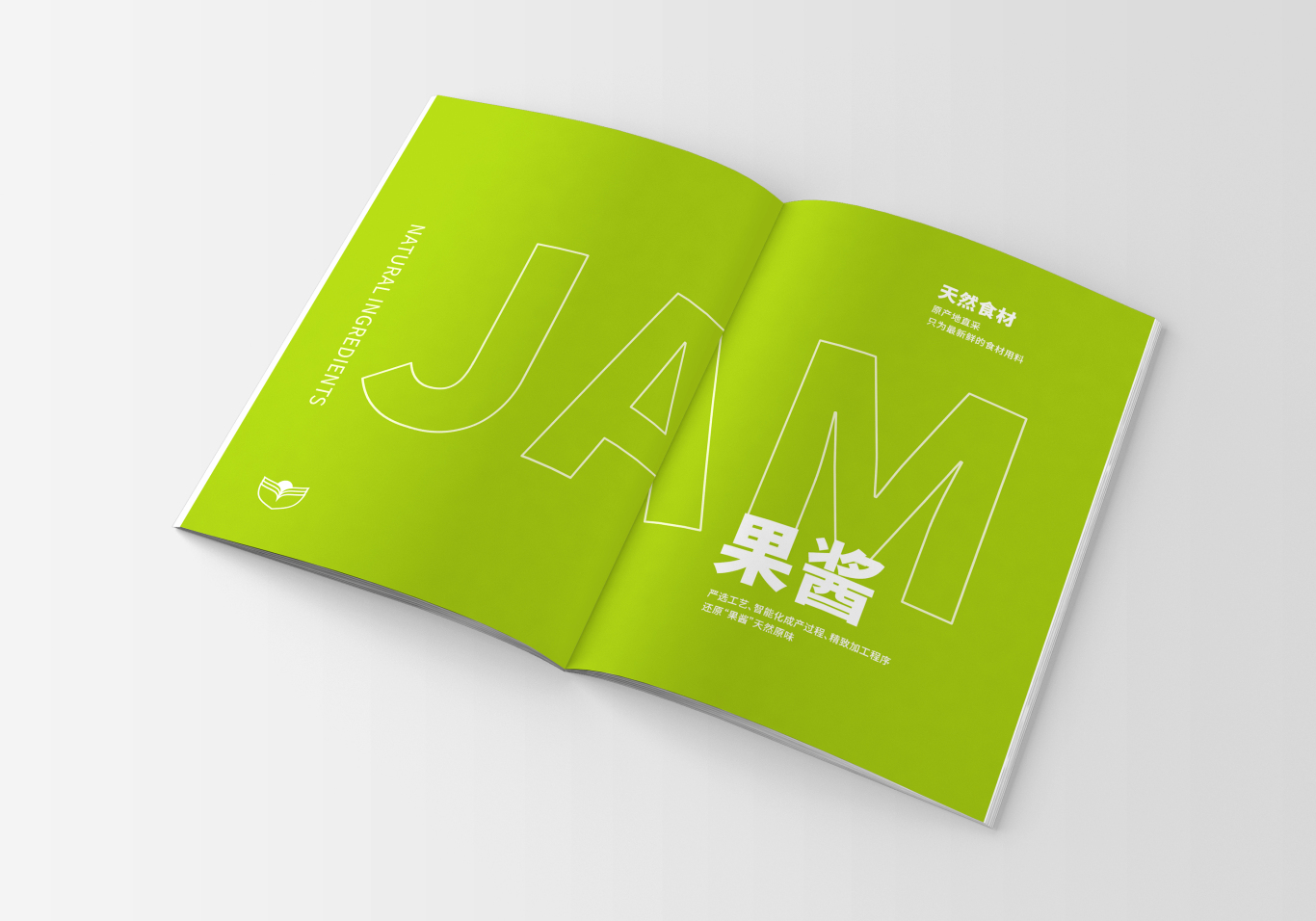 這個設計画册丨晟丰农业图3