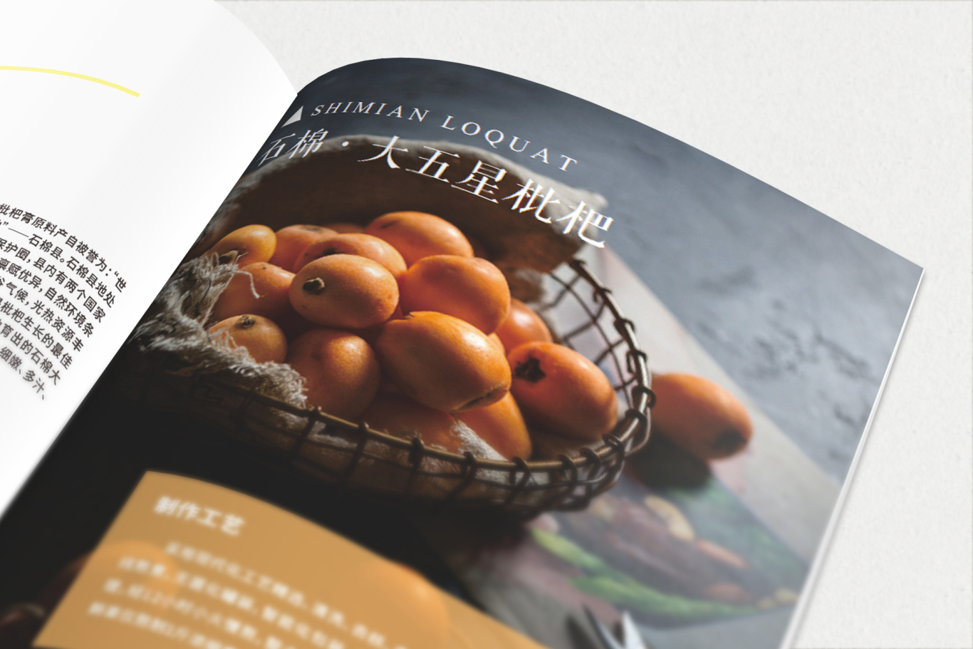 這個設計画册丨晟丰农业图5
