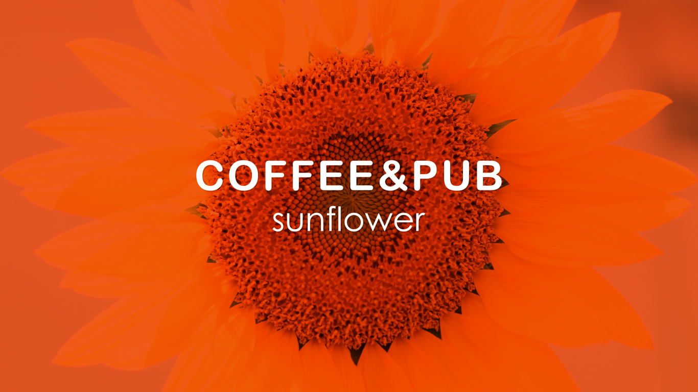 葵·sunflower品牌形象设计图0