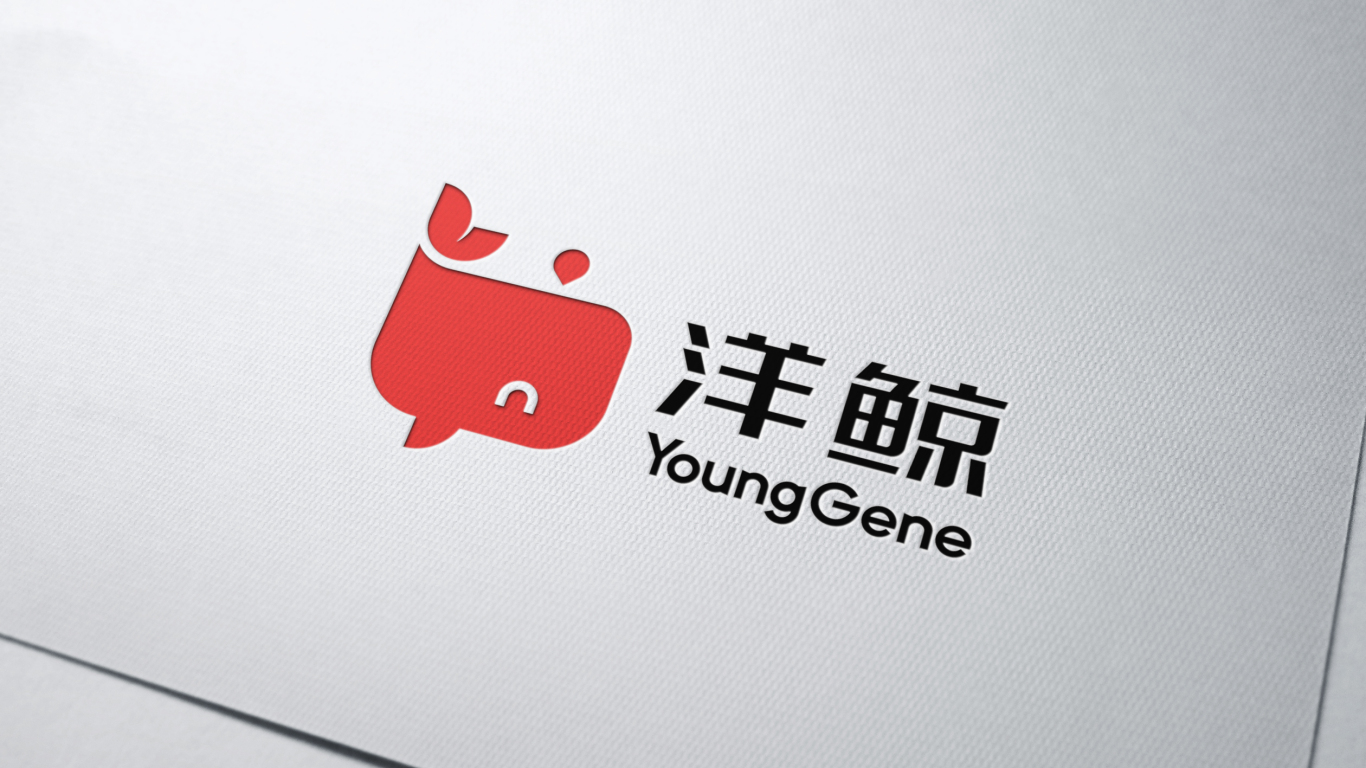  洋鲸 YoungGene电商品牌标志设计图5