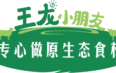 王龍小朋友logo設計