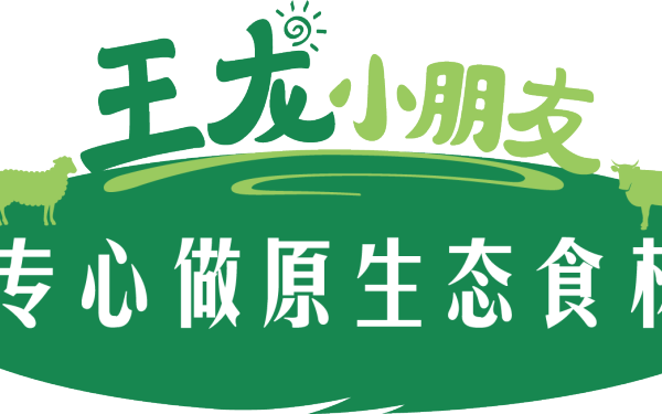 王龙小朋友logo设计