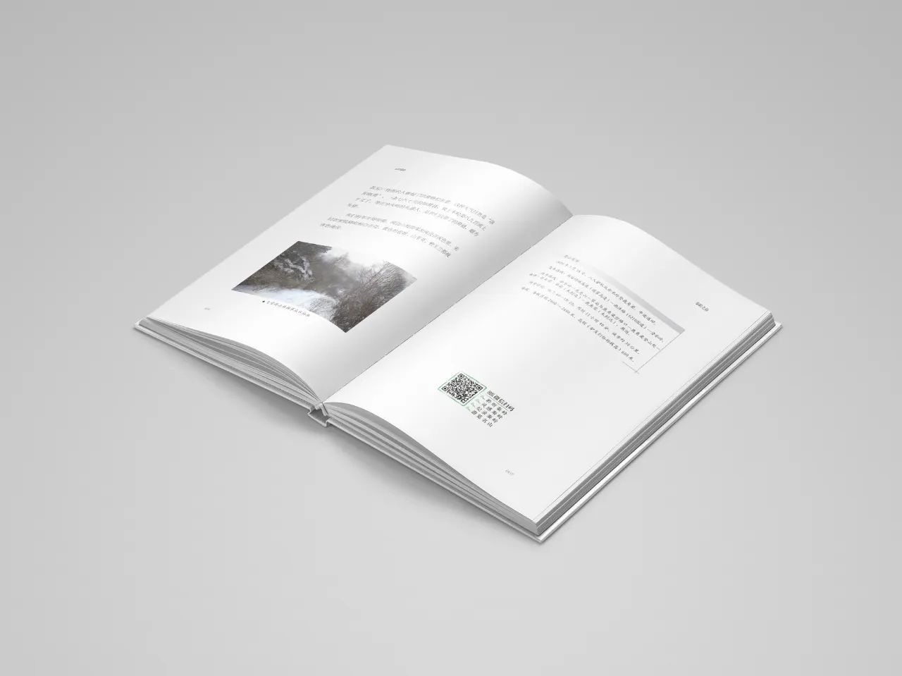 《云归秦岭》丨书籍装帧设计图10
