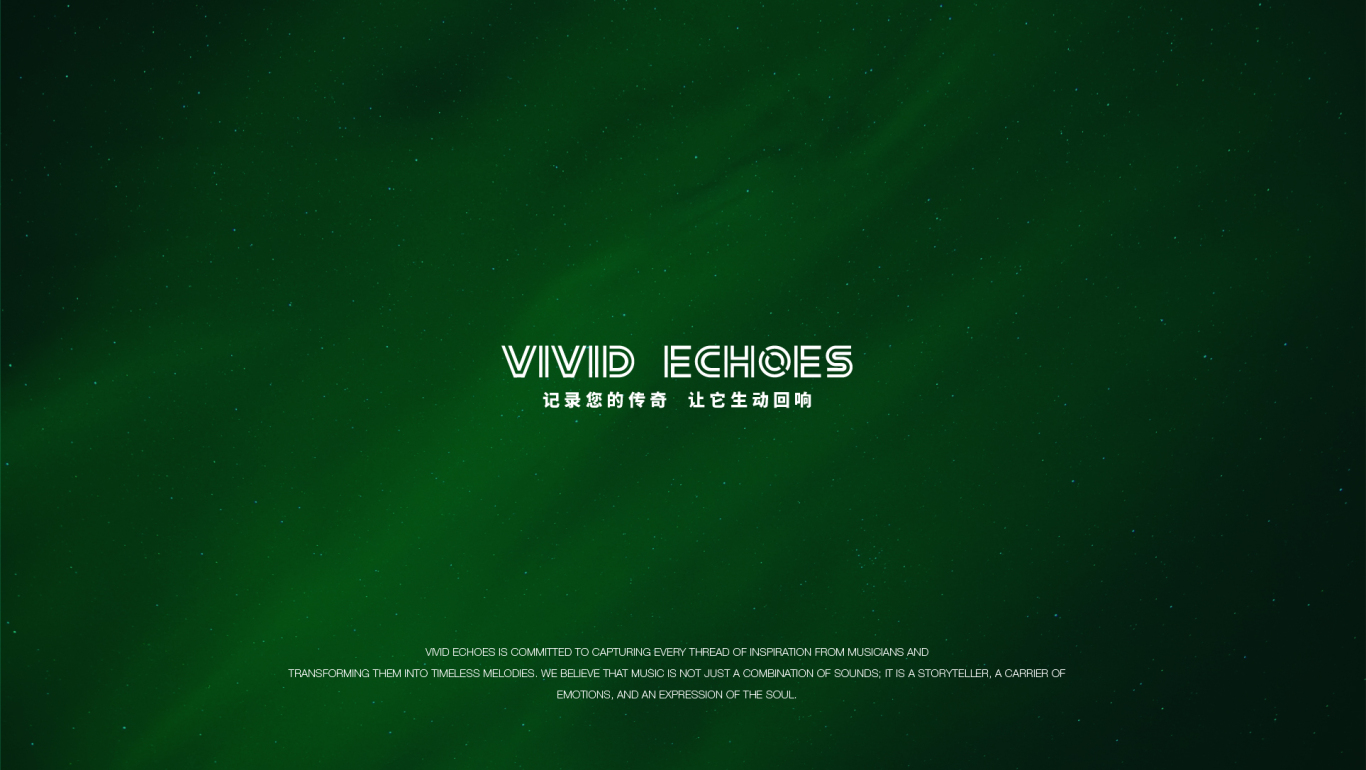 Vivid Echoes | 录音工作室 | LOGO设计 | 品牌设计图2