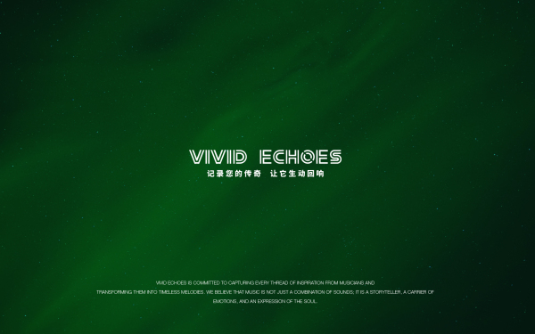 Vivid Echoes | 录音工作室 | LOGO设计 | 品牌设计
