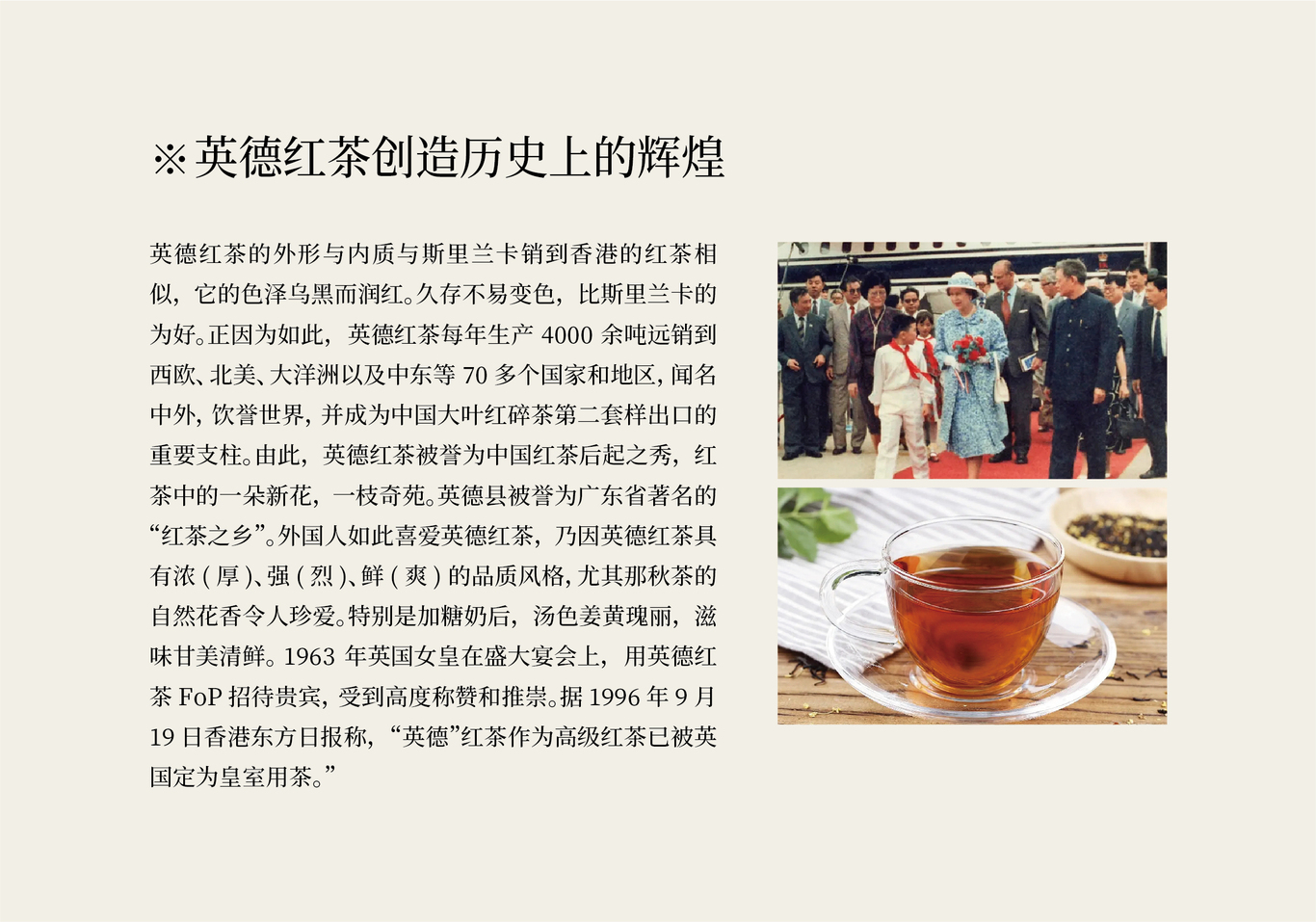 怡品茗英红九号茶包装设计方案图3