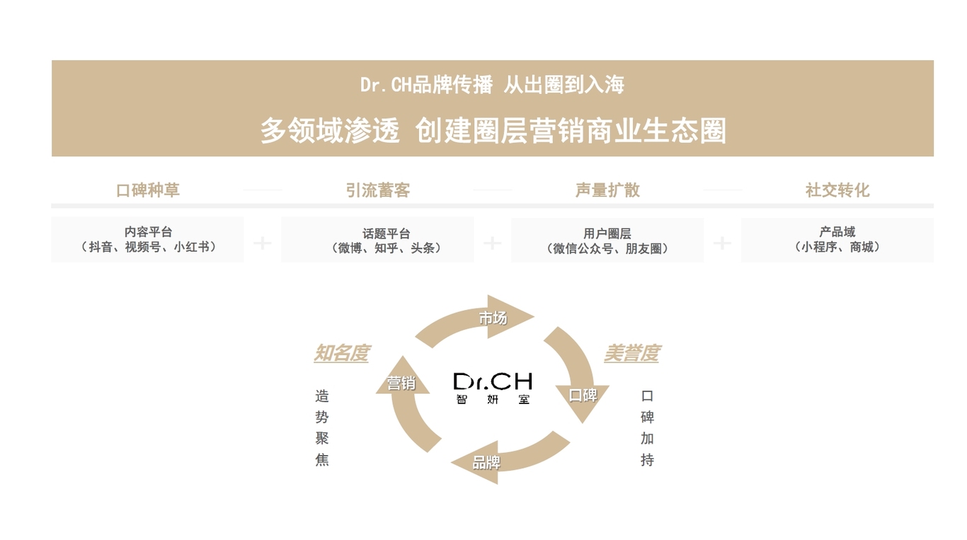 Dr.CH品牌建设思路及2022年度营销推广建议图4