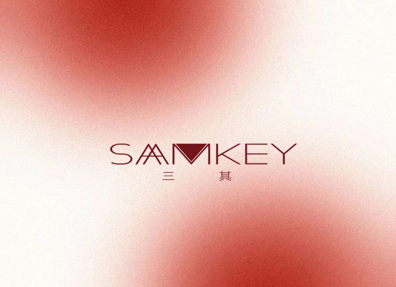 SAAMKEY三其 国产化妆品零售品牌logo设计图2