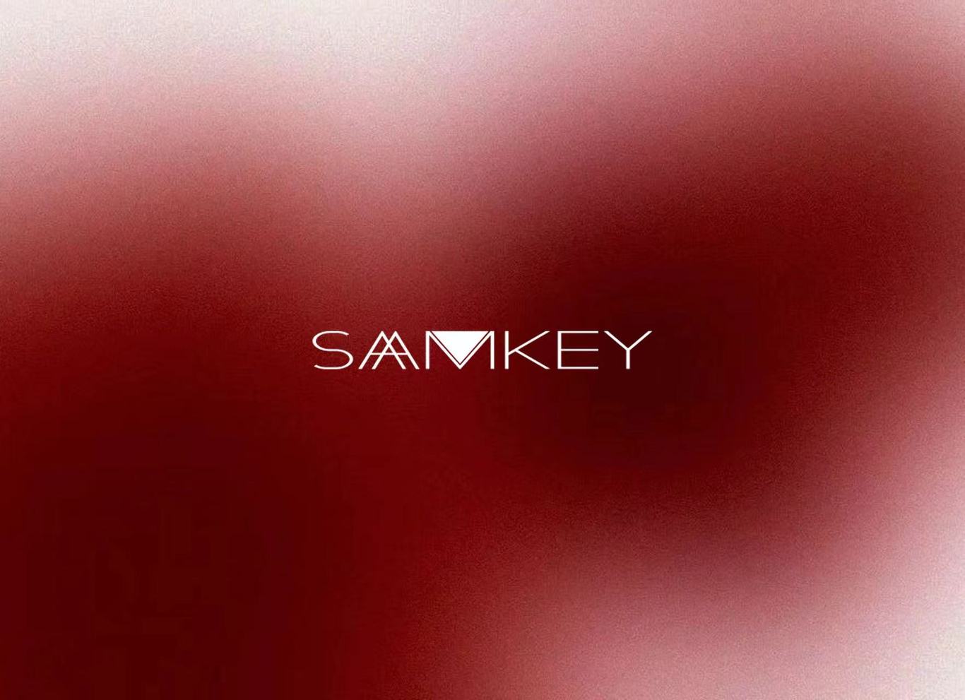 SAAMKEY三其 国产化妆品零售品牌logo设计图1