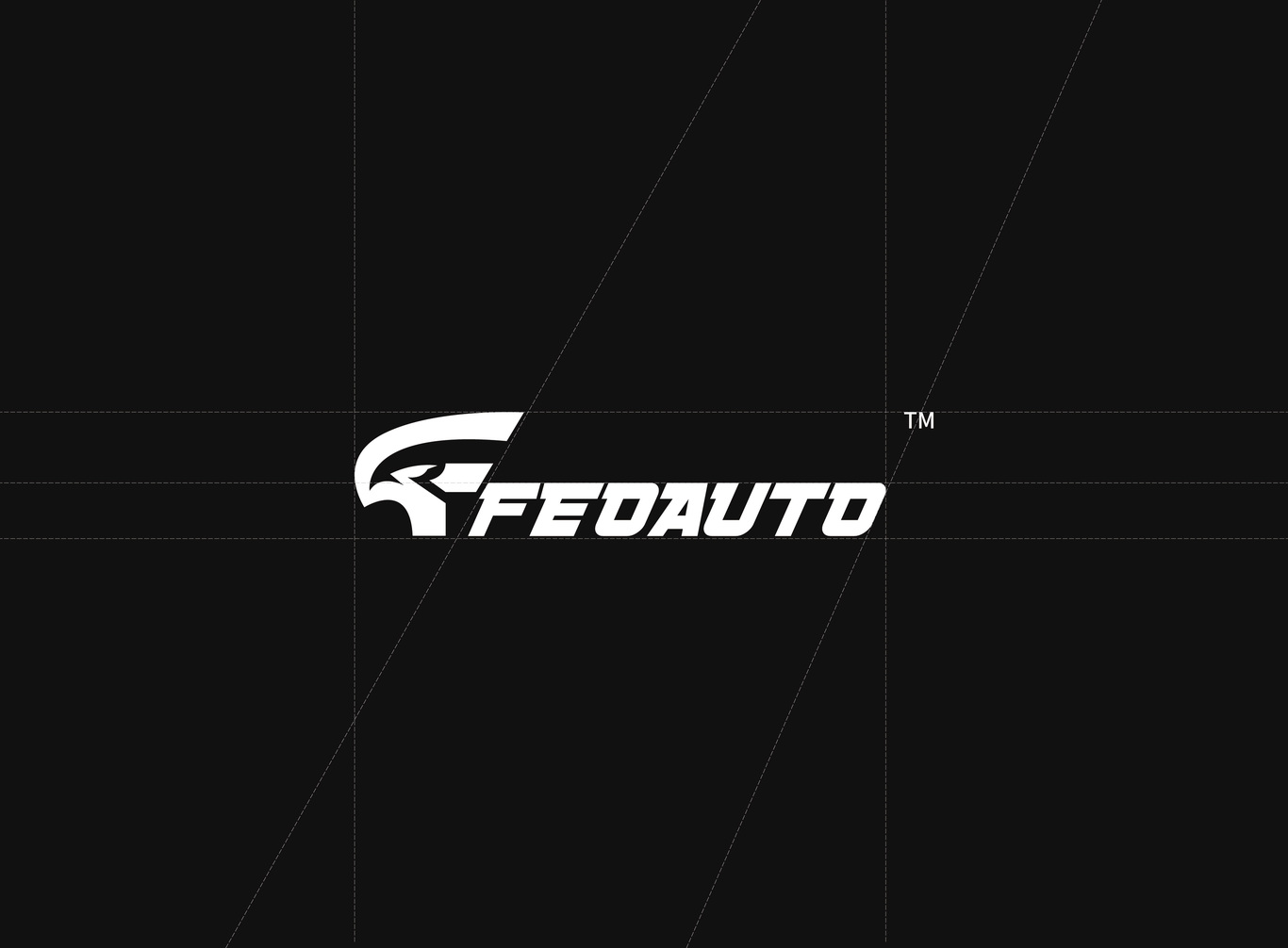 《FEDAUTO》刹车片标志设计及包装设计图0